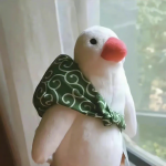 Qingzhi的头像-沐光橙香