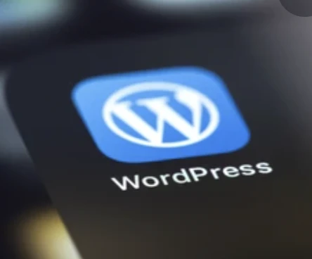 建站资源分享-沐光橙香