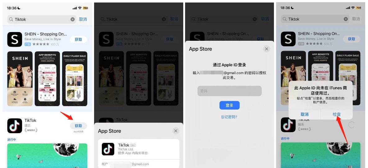 20251107212309932-check-apple-id