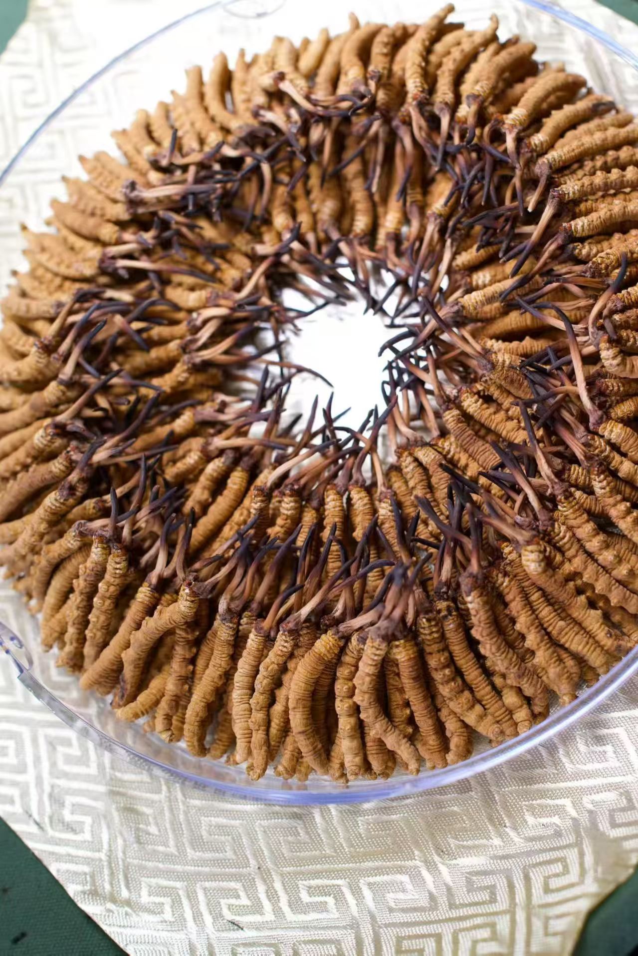 图片[3]-【产地直供】青藏高原干虫草 优选头期草 虫体饱满 草头短小-沐光橙香