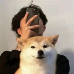 漂泊的归乡风的头像-沐光橙香