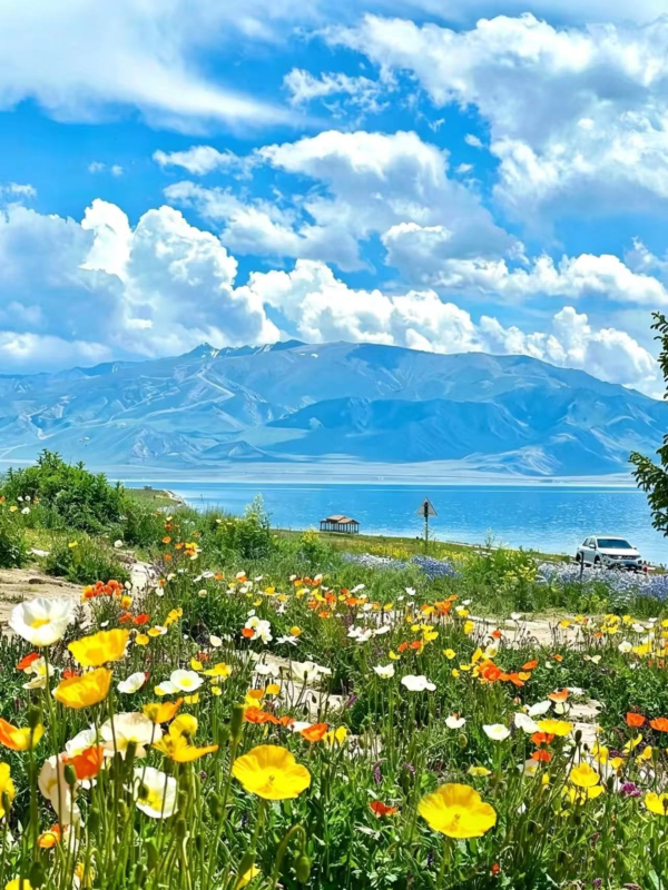 不用去瑞士，这里就是新疆版的阿尔卑斯-沐光橙香