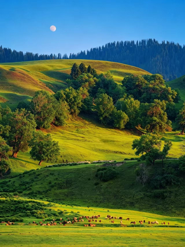 不用去瑞士，这里就是新疆版的阿尔卑斯-沐光橙香