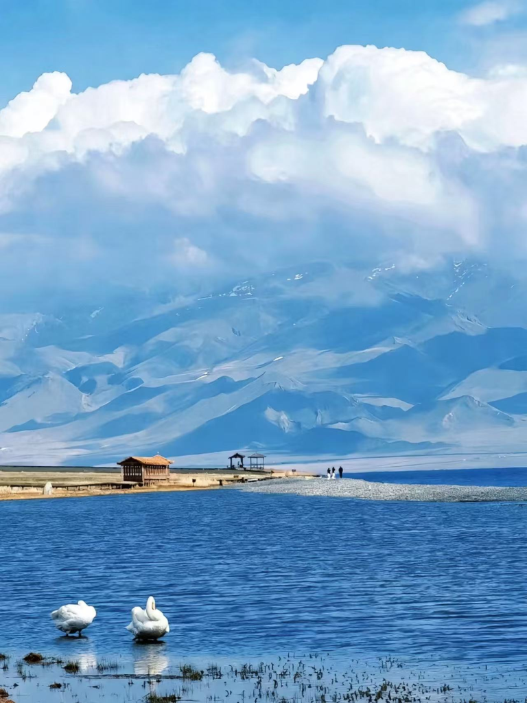 20260413180754649-图片_6