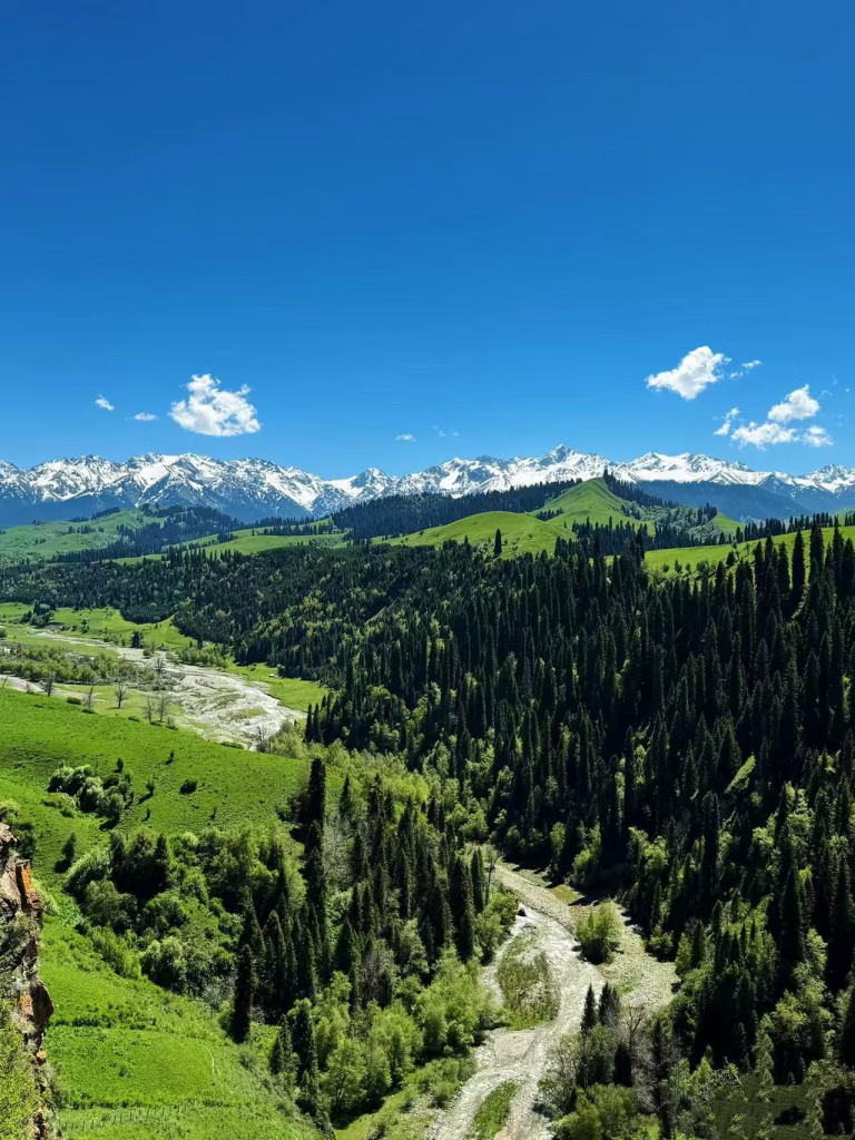 20260413181032810-图片_7