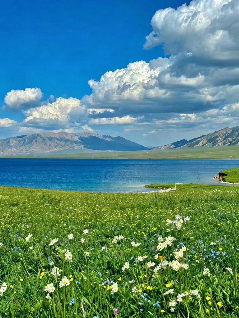 20260413181032840-图片_8