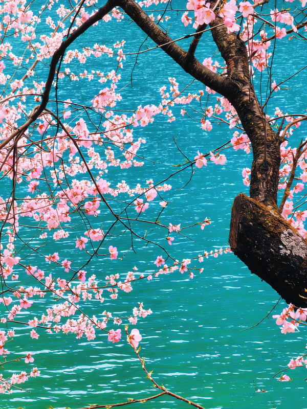 算了❗和你们没去过九寨沟的说不明白-沐光橙香