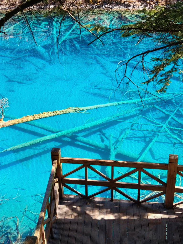 20260413185006605-图片_5