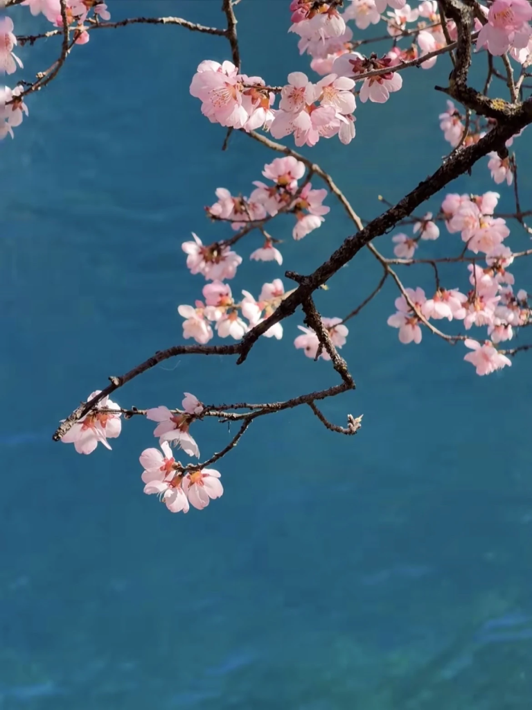 20260413185016947-图片_7