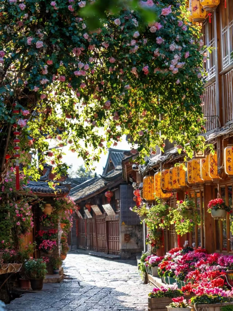 20260413190207478-图片_3