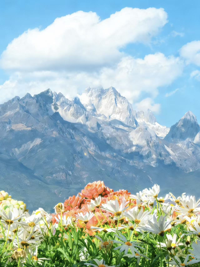 20260413190223407-图片_8