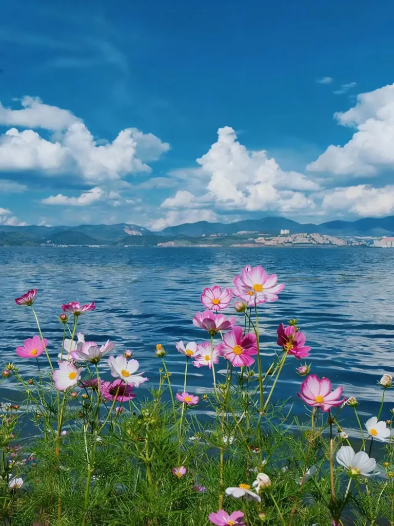 20260413191131266-图片_4