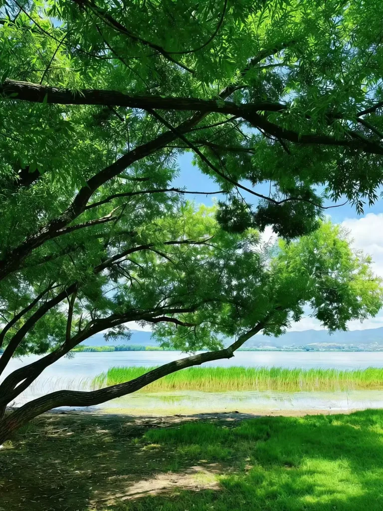 20260413191132372-图片_5