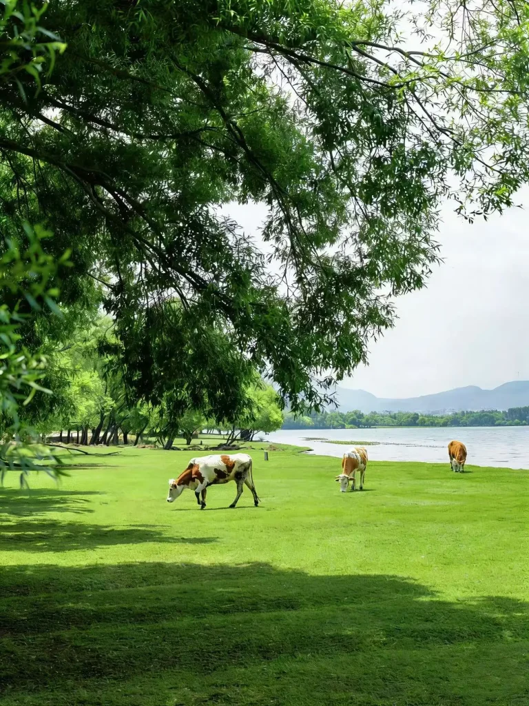 20260413191133209-图片_7