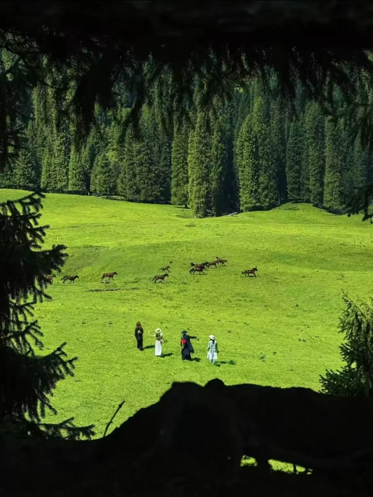 20260413192759829-图片_1