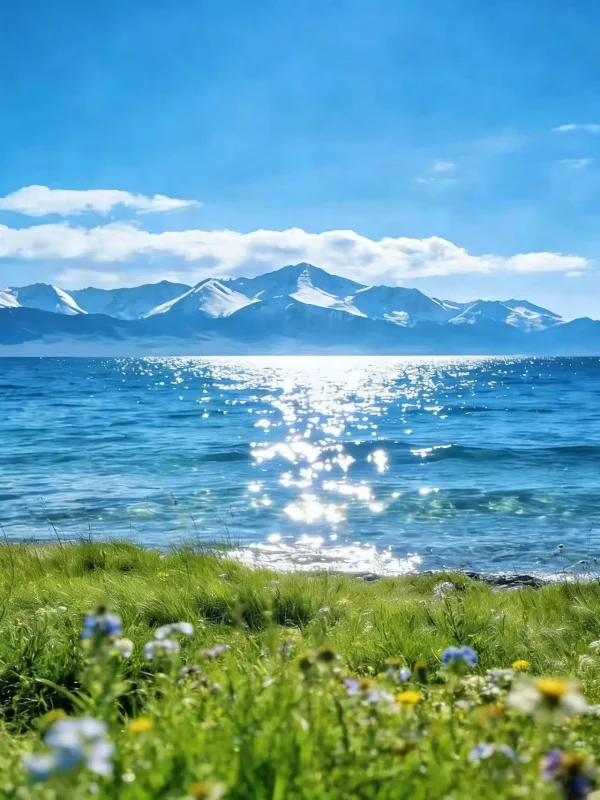 五月伊犁封神了！雪山草原同框真的美哭😭-沐光橙香