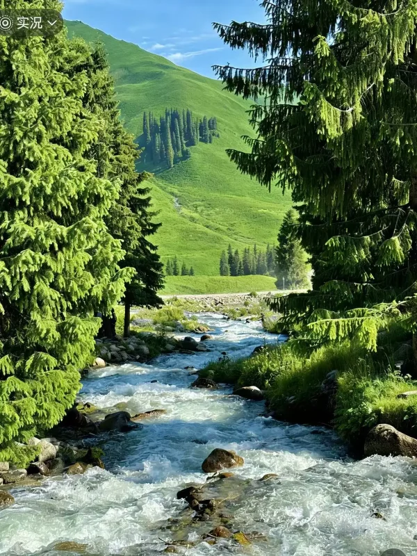 五月伊犁封神了！雪山草原同框真的美哭😭-沐光橙香