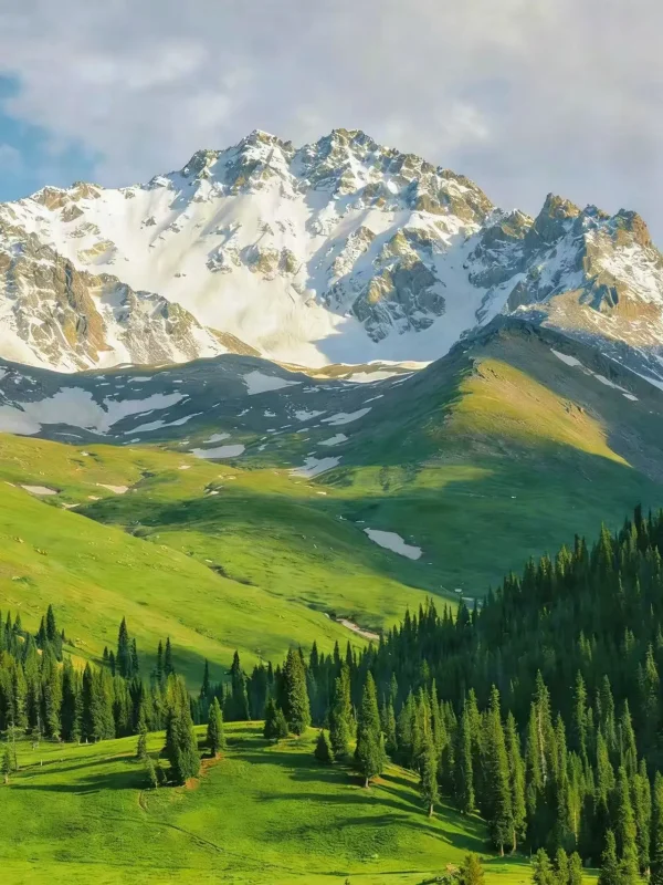 五月伊犁封神了！雪山草原同框真的美哭😭-沐光橙香