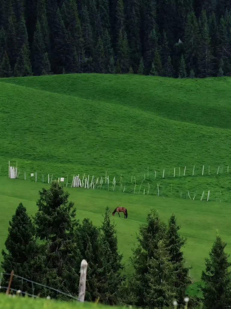 20260413192802530-图片_5