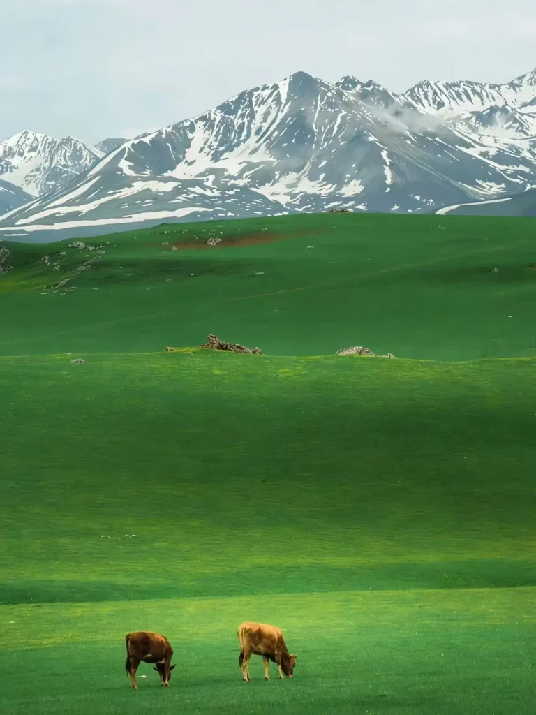 20260413192816236-图片_7