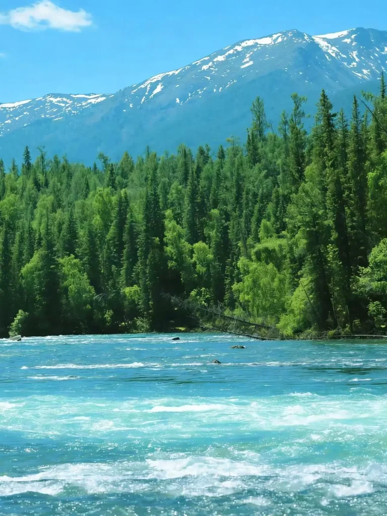 20260413192817631-图片_8