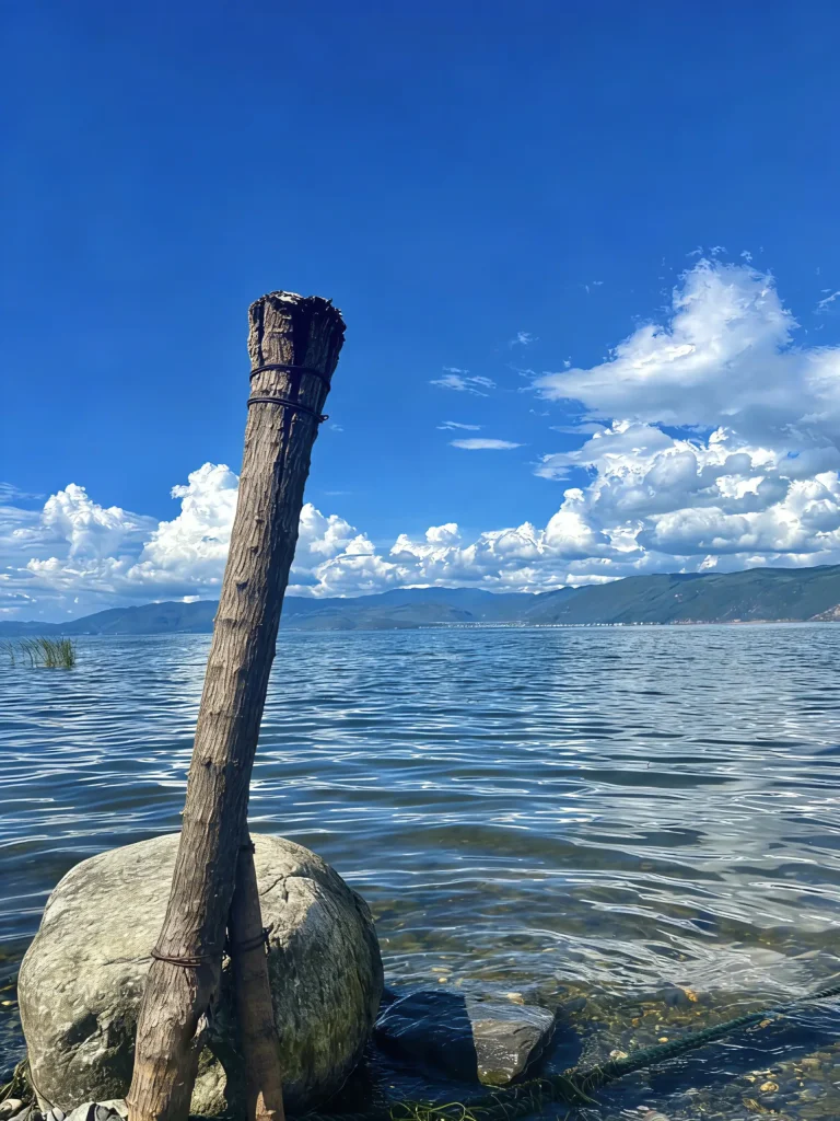 20260413193856274-图片_5