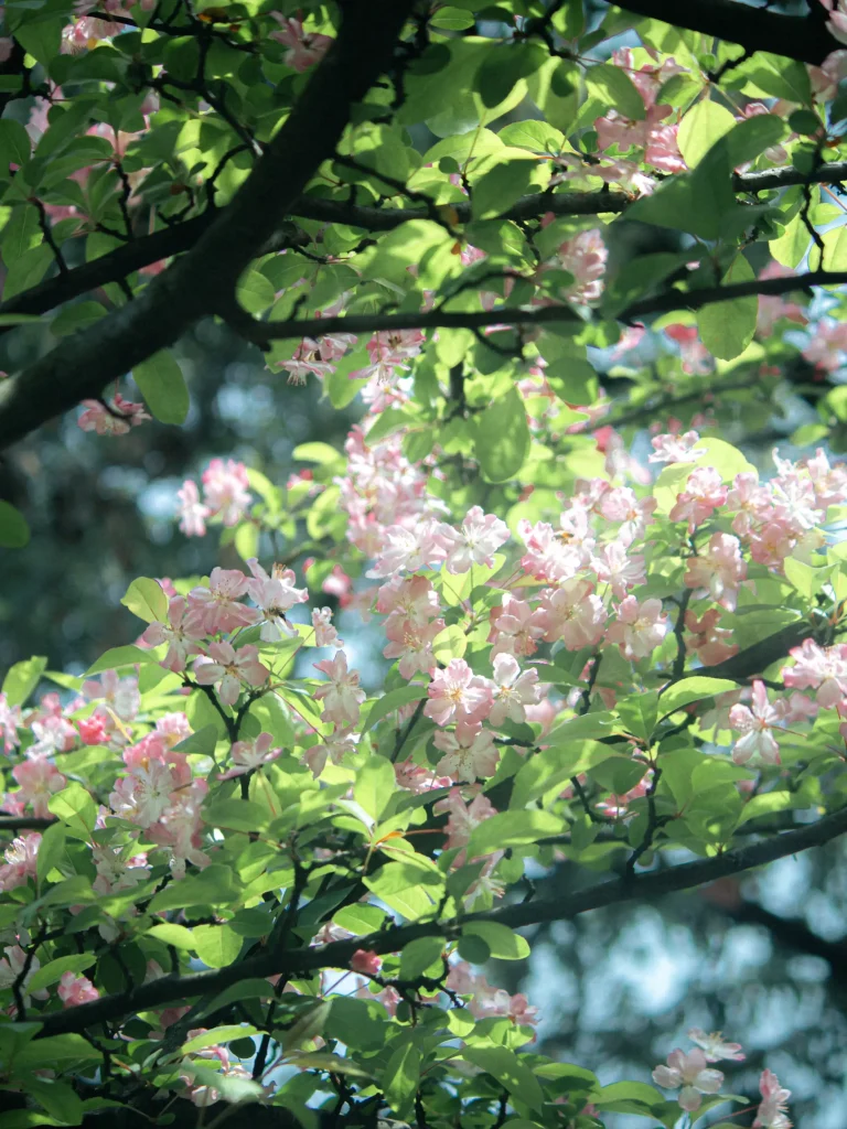 20260413215120883-图片_1