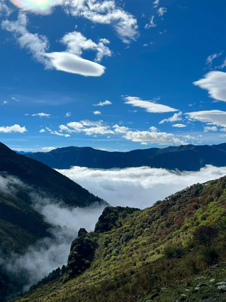 20260413220928598-图片_6