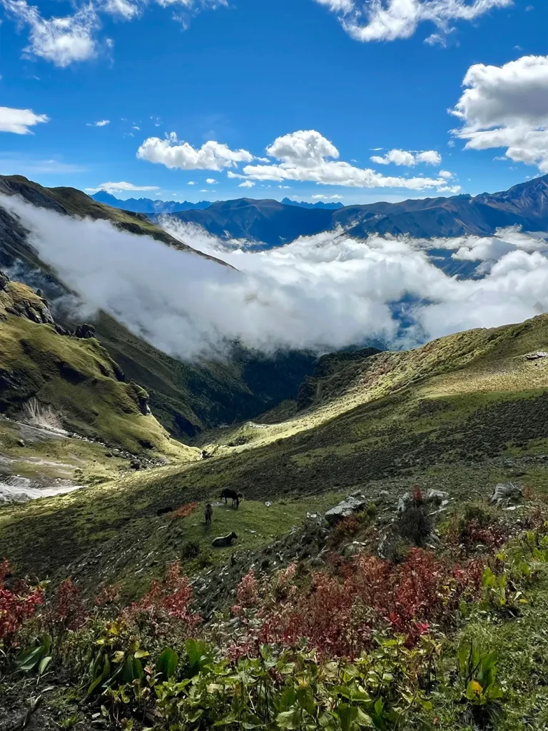 20260413220928737-图片_4