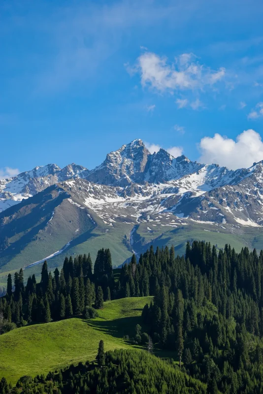 别再去那拉提了！恰西草原真的美哭-沐光橙香