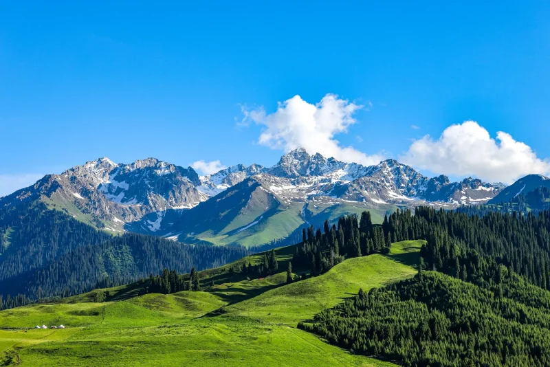 别再去那拉提了！恰西草原真的美哭-沐光橙香
