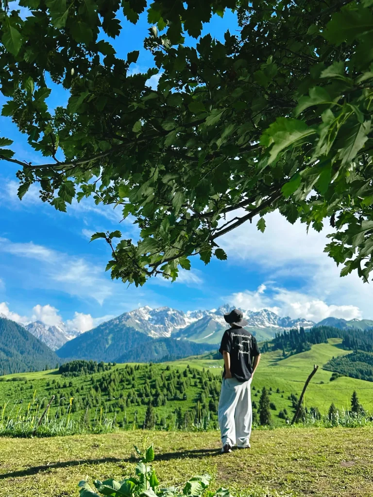 20260413221525613-图片_9