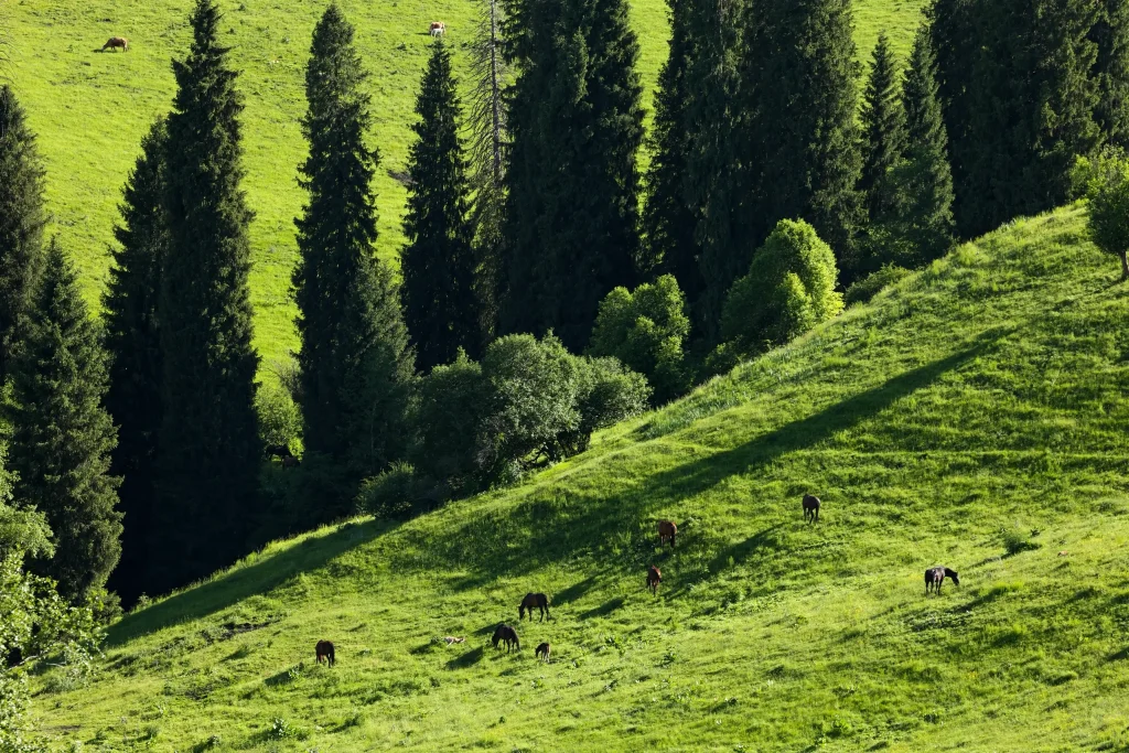 20260413221529660-图片_6