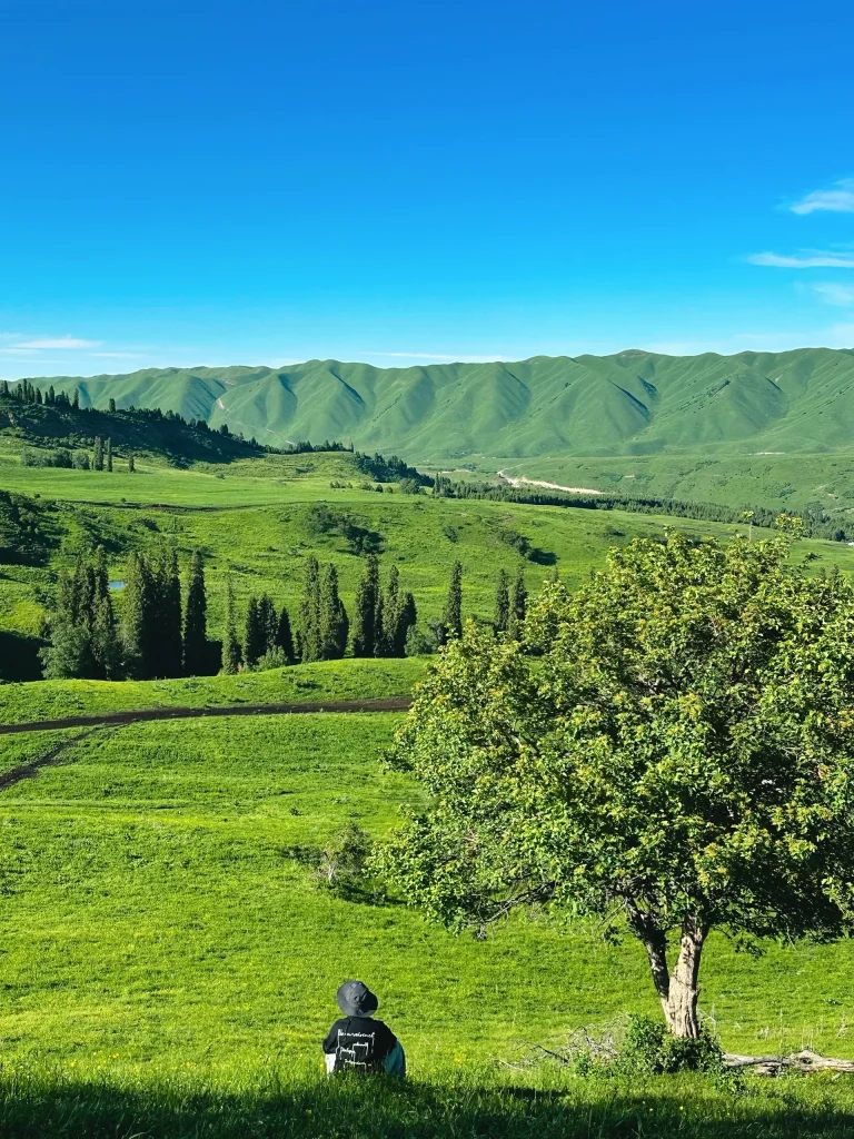 20260413221532108-图片_8