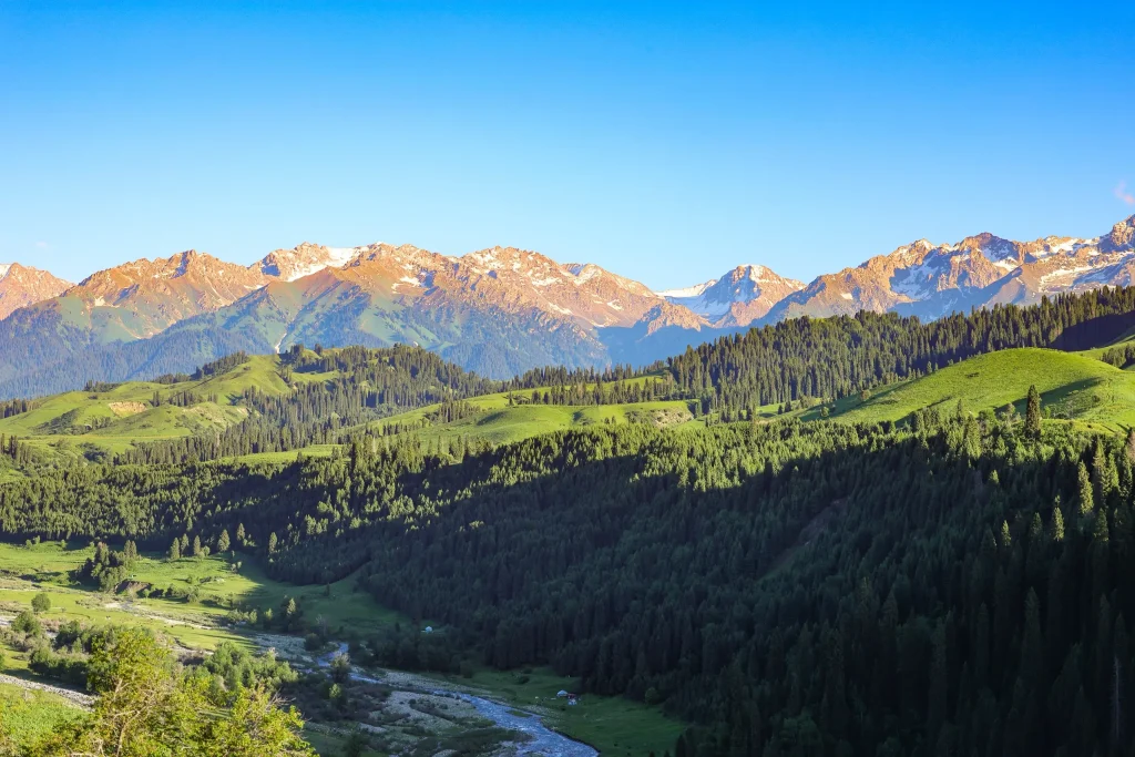 20260413221533524-图片_10