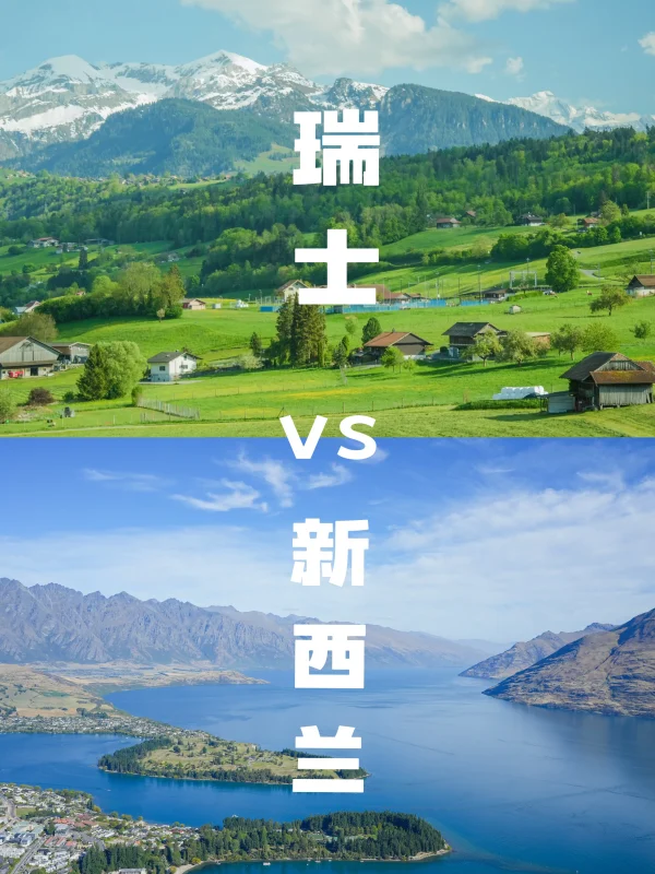 瑞士🆚新西兰实拍对比‼️吃喝玩乐优缺点速看-沐光橙香