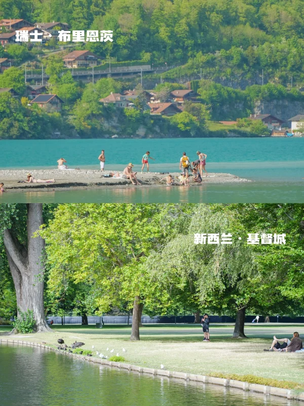 瑞士🆚新西兰实拍对比‼️吃喝玩乐优缺点速看-沐光橙香