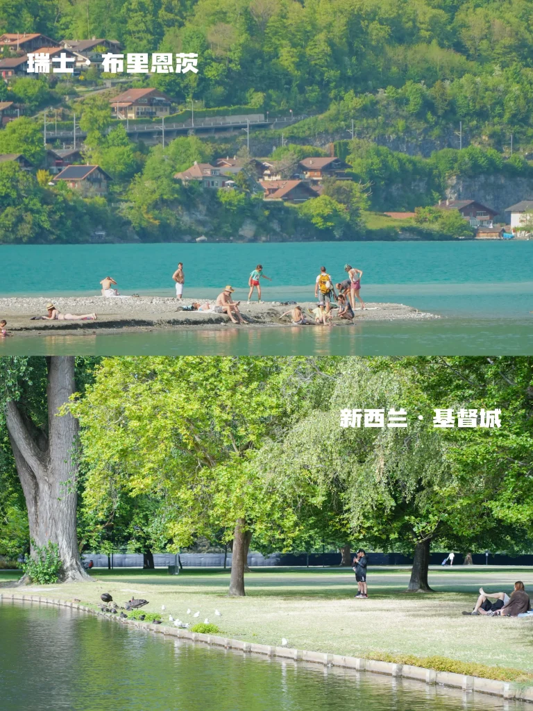 20260413223738669-图片_3