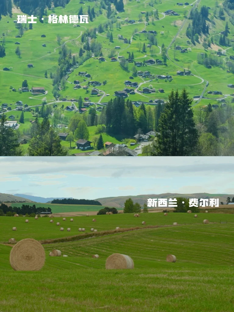 20260413223822169-图片_5