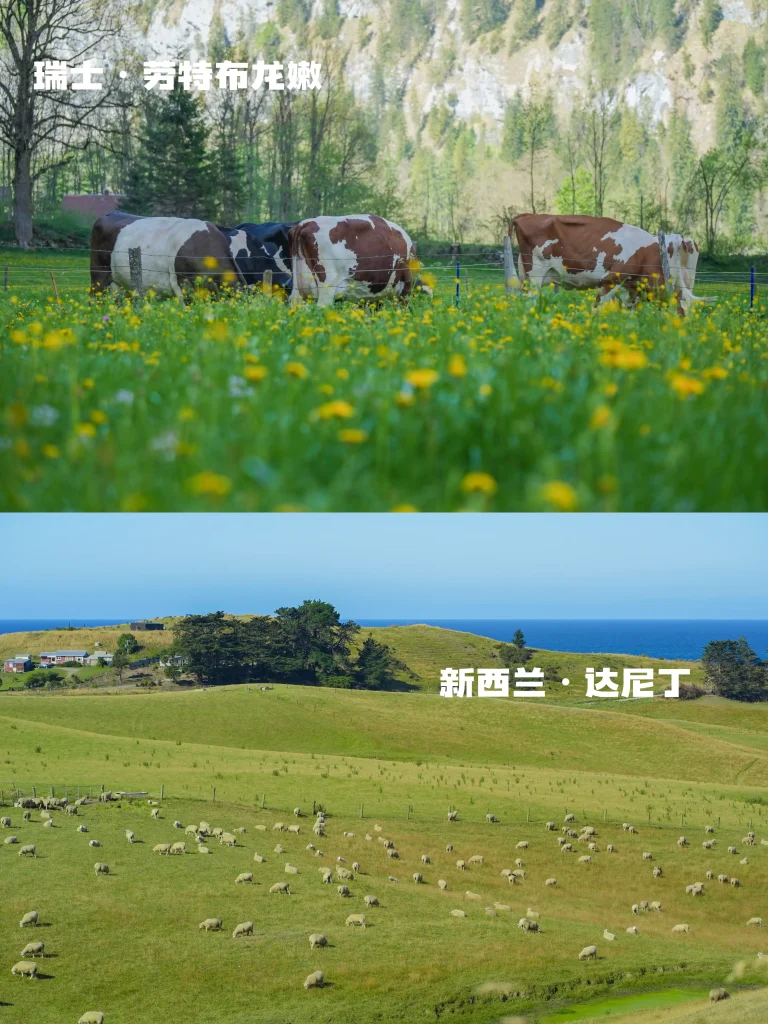 20260413223828643-图片_8