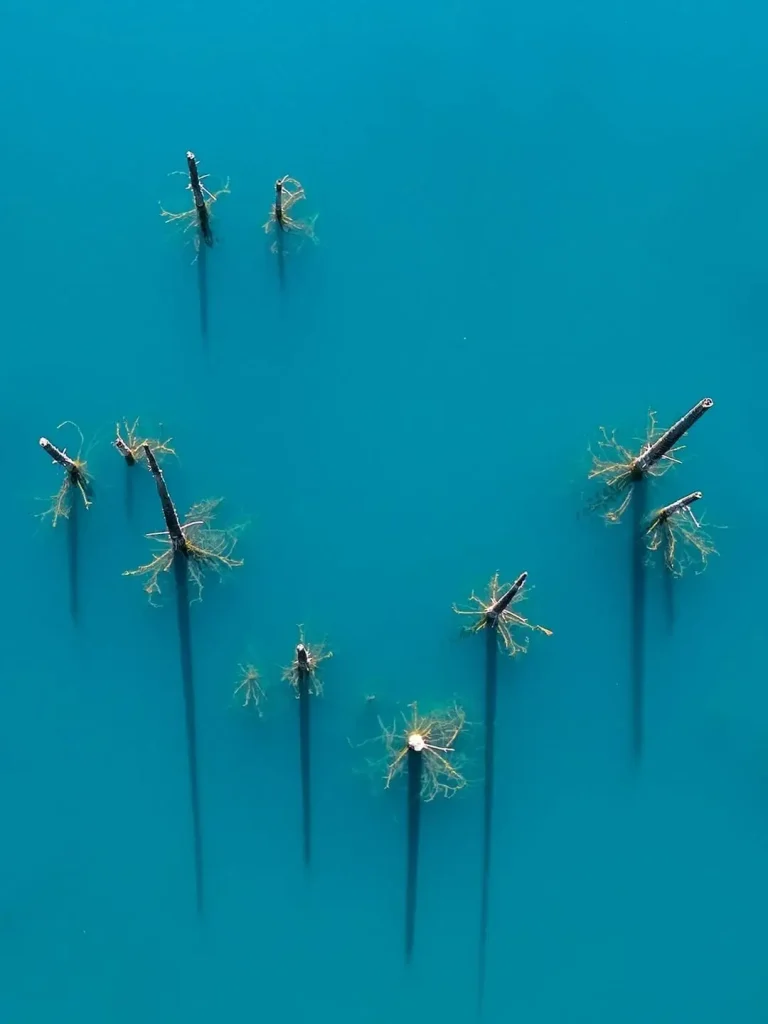 20260414094258493-图片_4