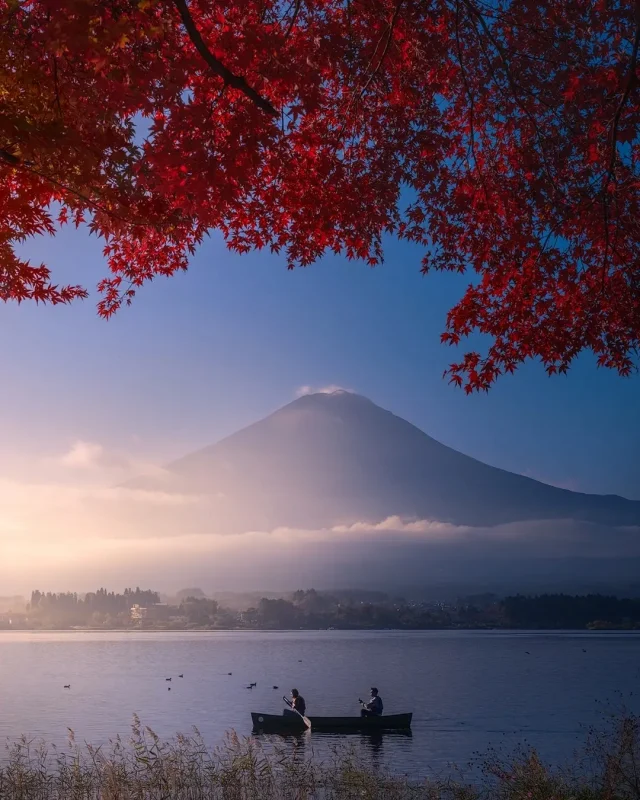 走进摄影师“Isabella Tabacchi”的光影世界-沐光橙香