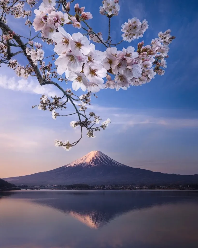 20260414094259691-图片_2