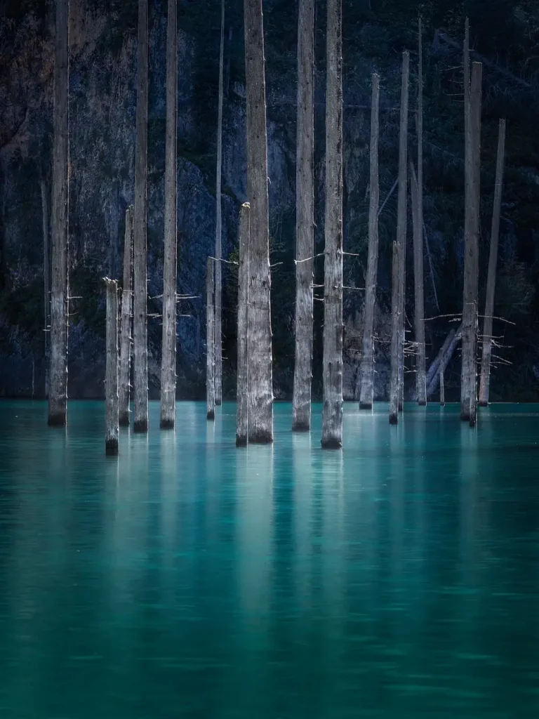 20260414094329263-图片_6