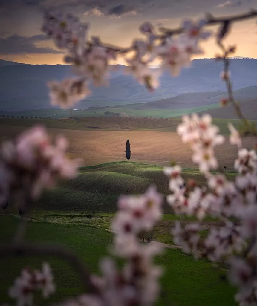 20260414094329533-图片_8