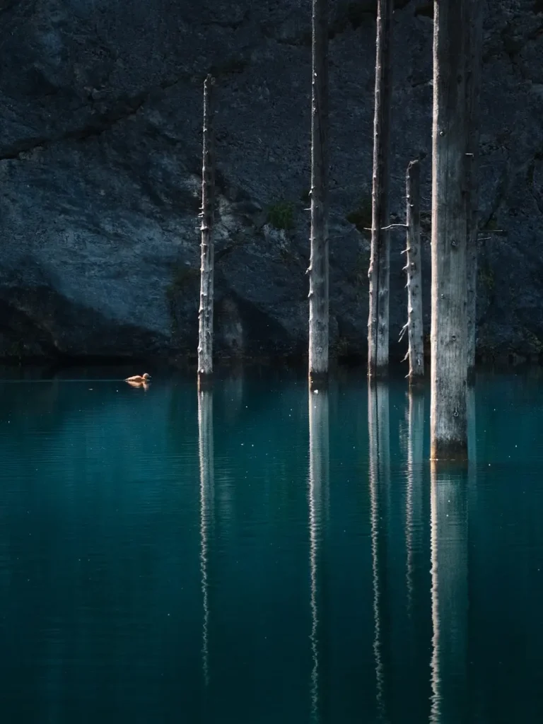 20260414094330408-图片_7