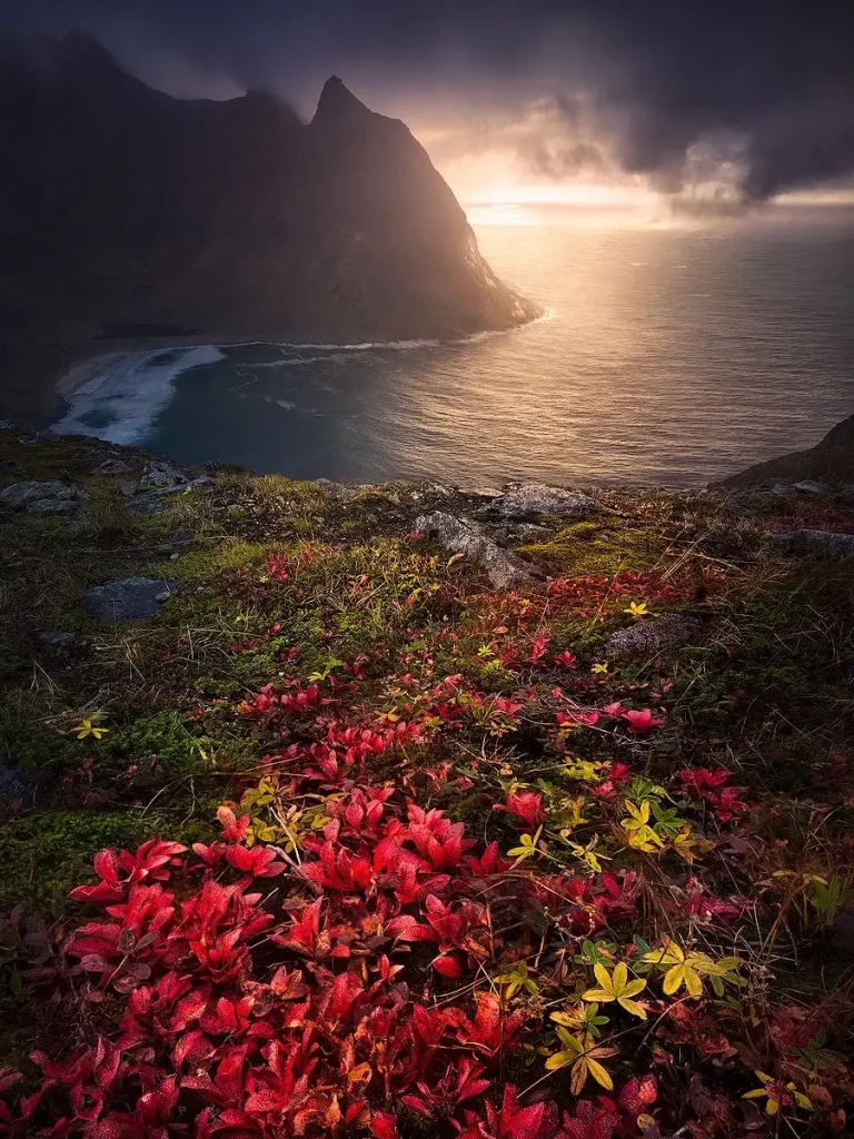 20260414094345710-图片_13