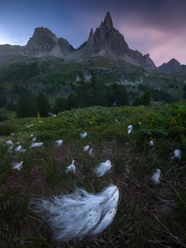 20260414094353318-图片_16