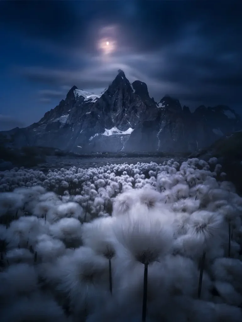 20260414094354442-图片_18