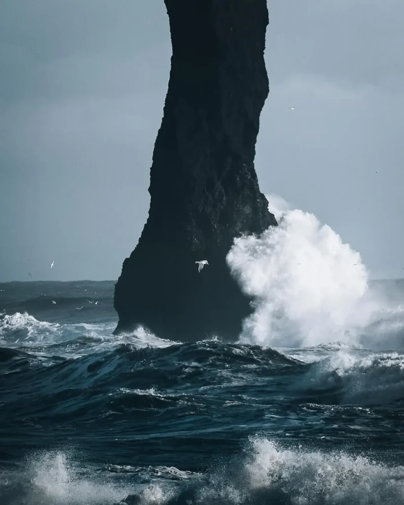 20260414103603236-图片_4